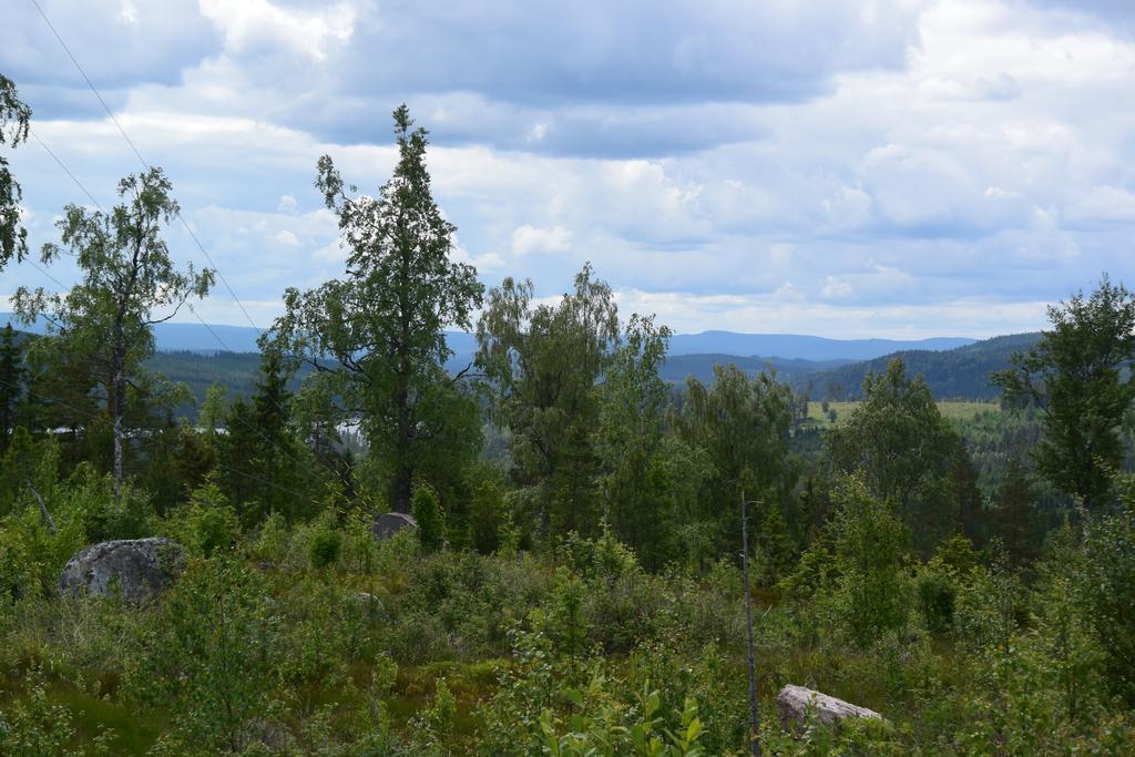 Mieps Huset Dalarna Holiday Kullen  Eksteriør bilde
